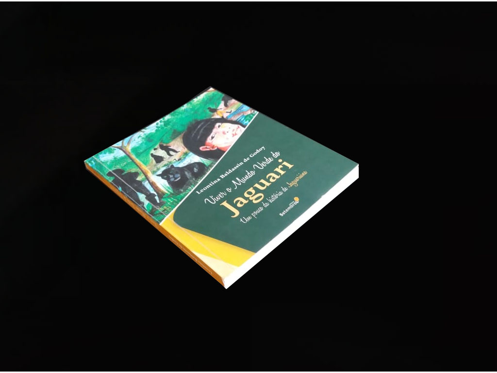 Gráfica Rápida em Campinas